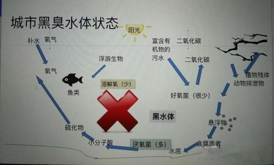 江蘇億元投資治污新技術(shù) 石墨烯能否治理黑臭水體？