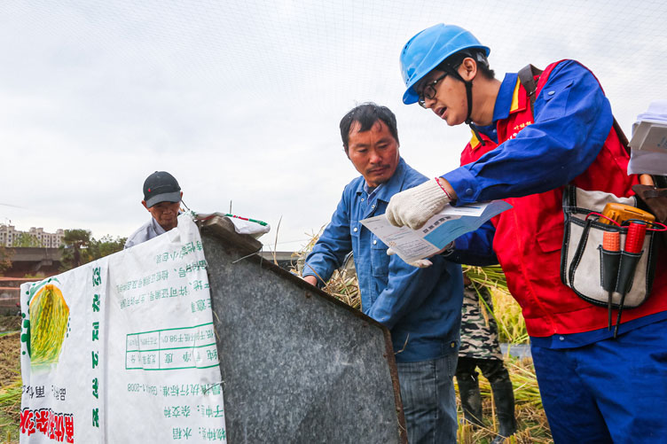 國網寧波市鄞州區(qū)供電公司：深入田間地頭，助力“三秋”保豐收