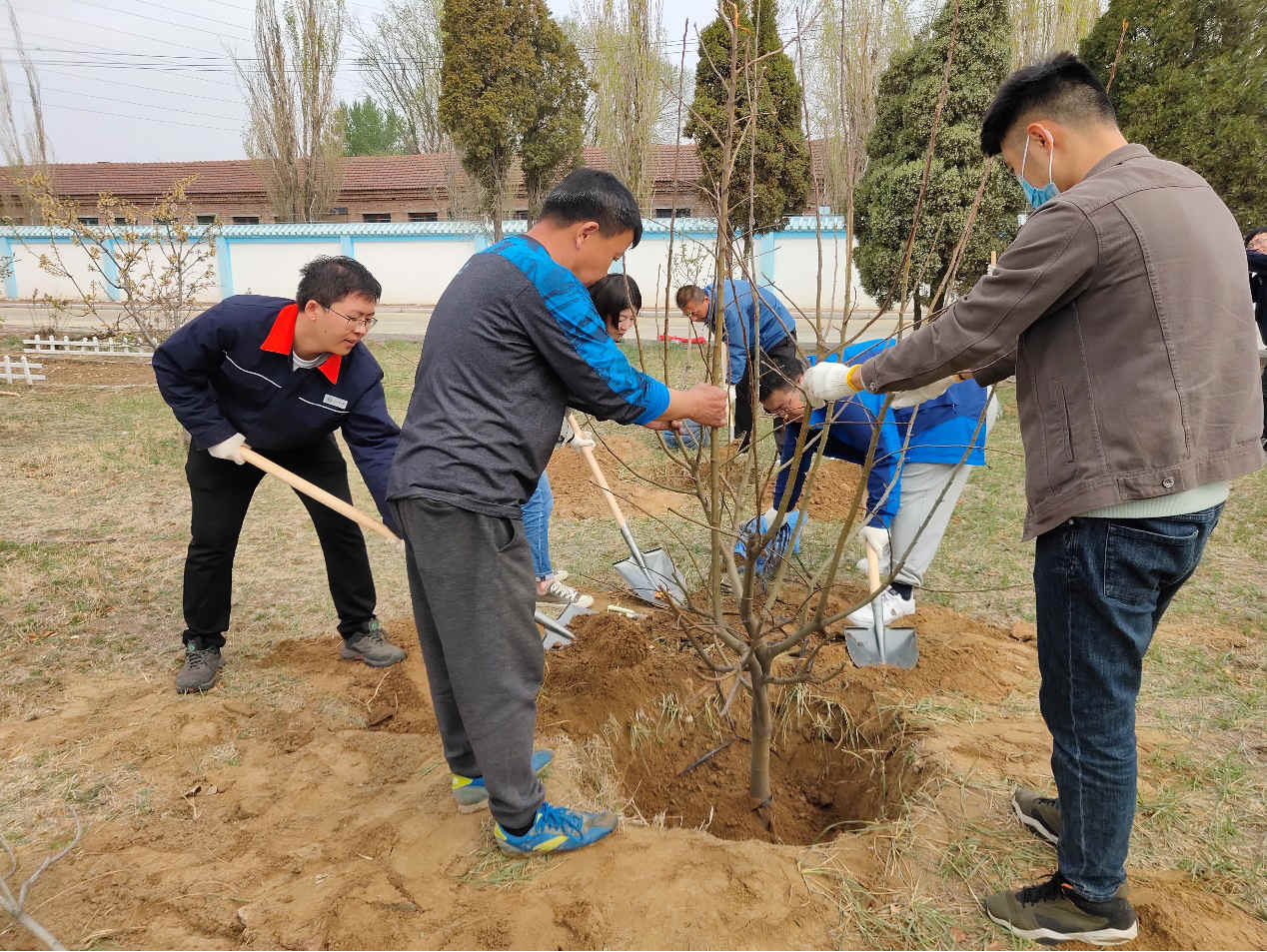 植樹護(hù)綠 共建美好家園