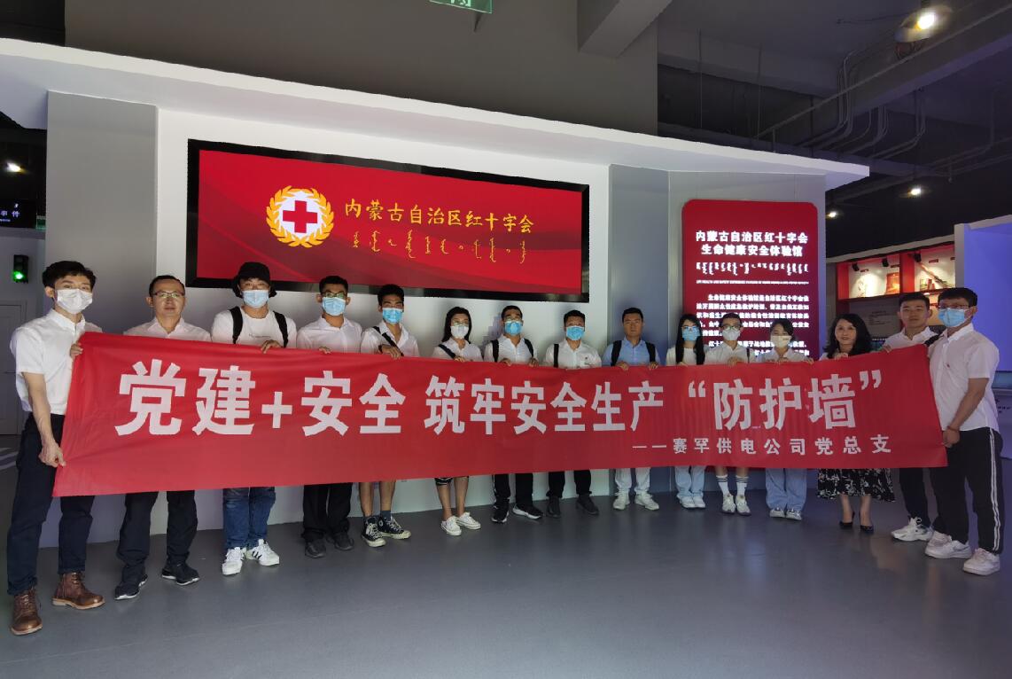 賽罕供電公司黨總支開展“黨建+安全”主題黨日活動(dòng)