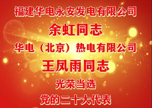 中國(guó)華電余虹、王鳳雨同志當(dāng)選黨的二十大代表