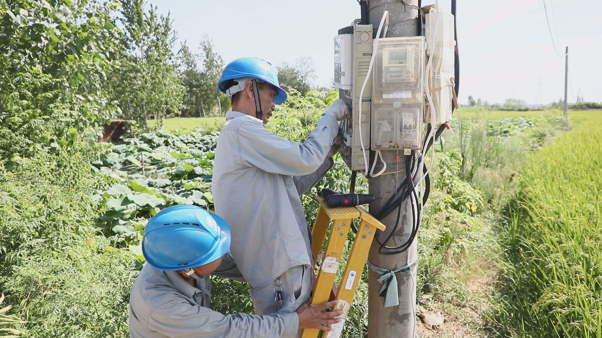 湖北襄州：高溫抗旱保供電 灌溉農(nóng)田潤民心