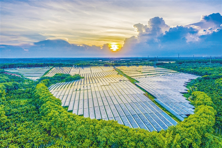 海南電網(wǎng)公司加快構(gòu)建現(xiàn)代供電服務(wù)體系，驅(qū)動鄉(xiāng)村振興電力引擎