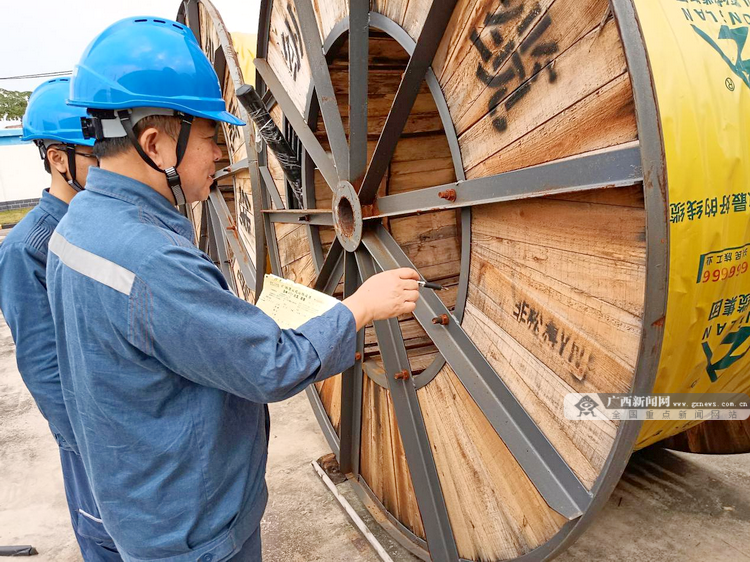 廣西玉林供電局持續(xù)推進松材線蟲病防治工作