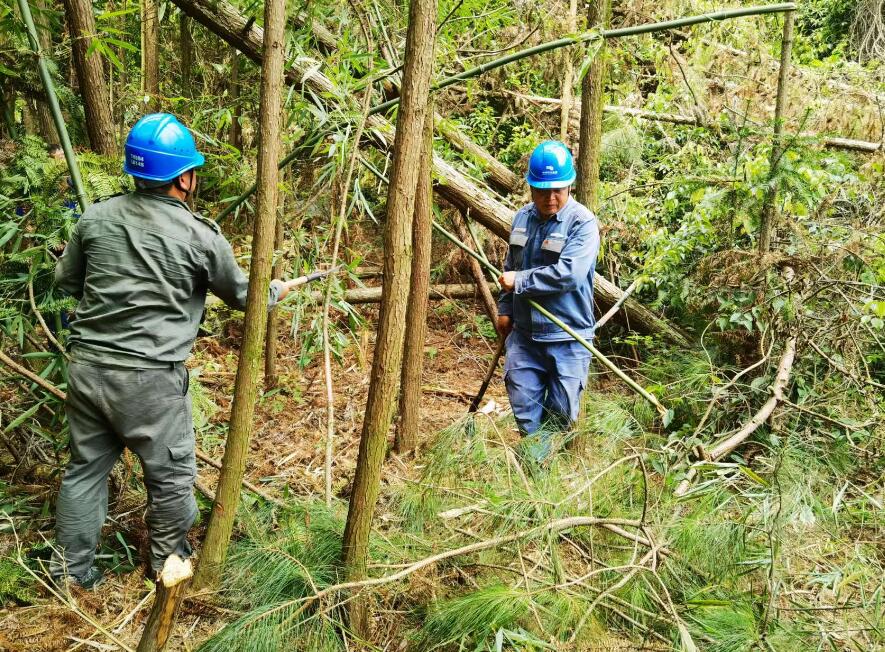 南方電網(wǎng)荔波供電局線路憂患如“猛獸”，通道清通要爭先