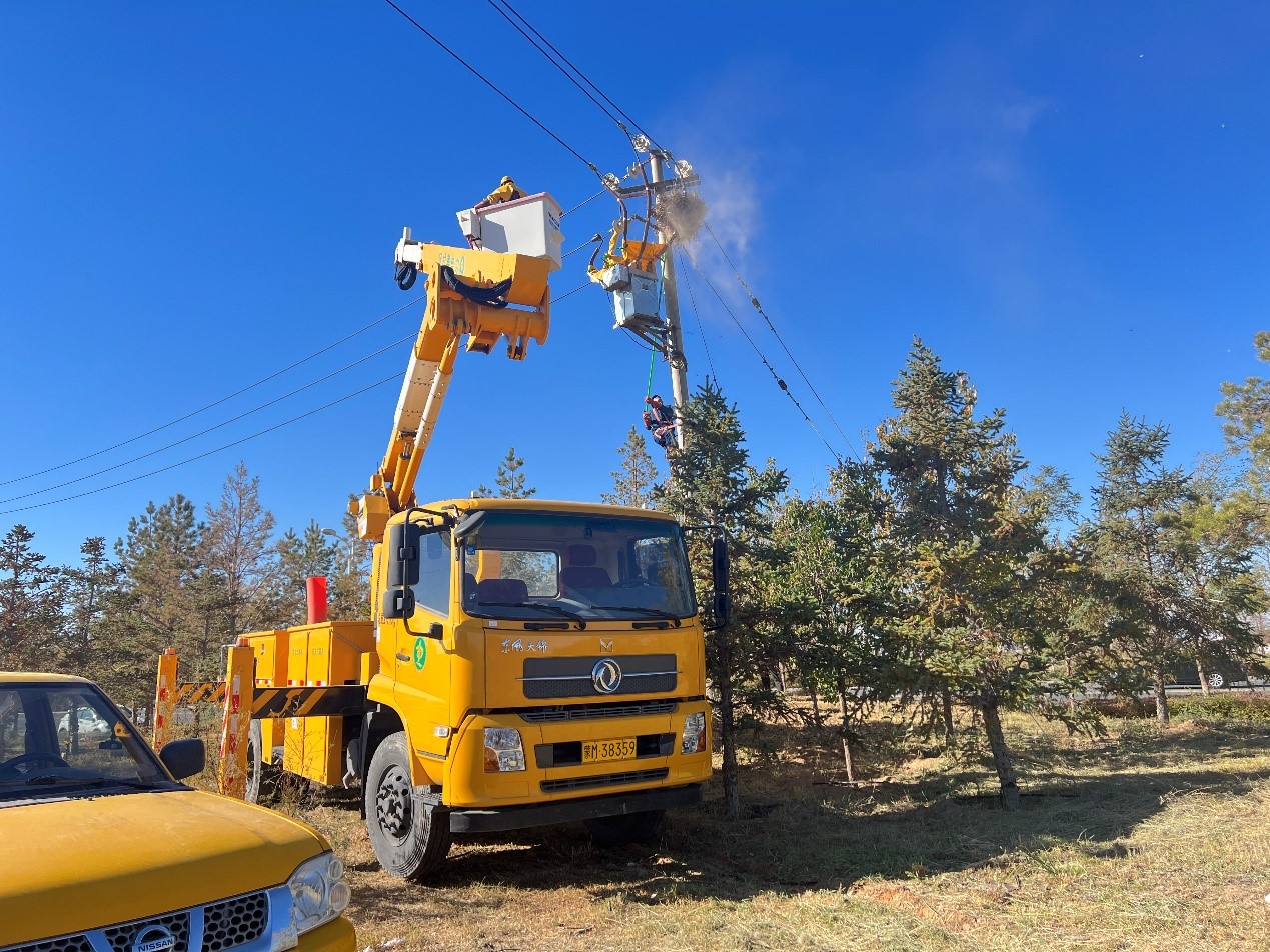 阿拉善供電公司配電帶電作業(yè)處：帶電消缺早行動 拆除鳥巢線路安