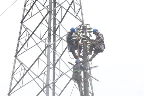 國網(wǎng)壽寧縣供電公司頂風冒雨搶修 保障居民正常用電